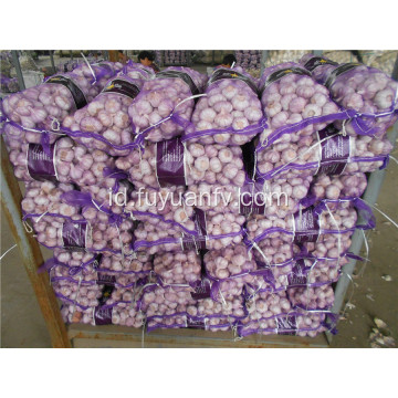 5.5-6.0cm bawang putih putih normal